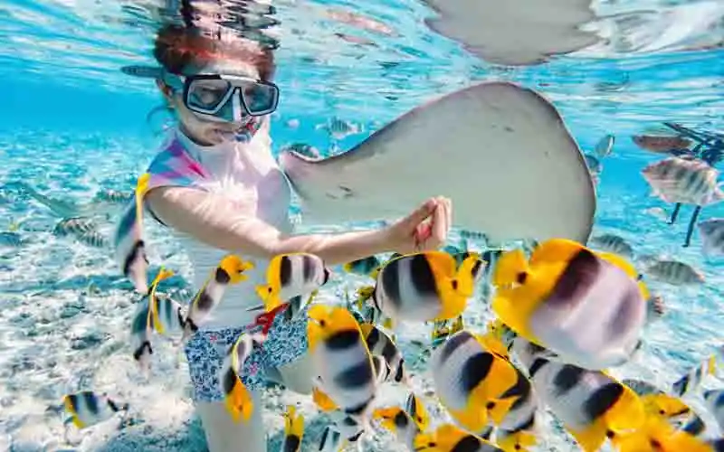 snorkeling lempuyang tour snorkeling lempuyang tour